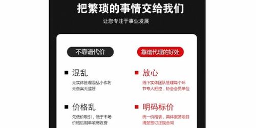 商务代理代办服务 企业高效运营的加速器