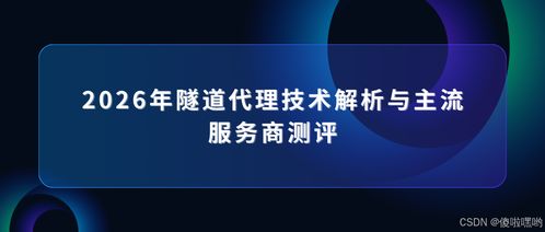 2026年隧道代理技术解析与主流服务商测评